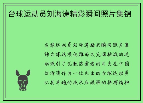 台球运动员刘海涛精彩瞬间照片集锦